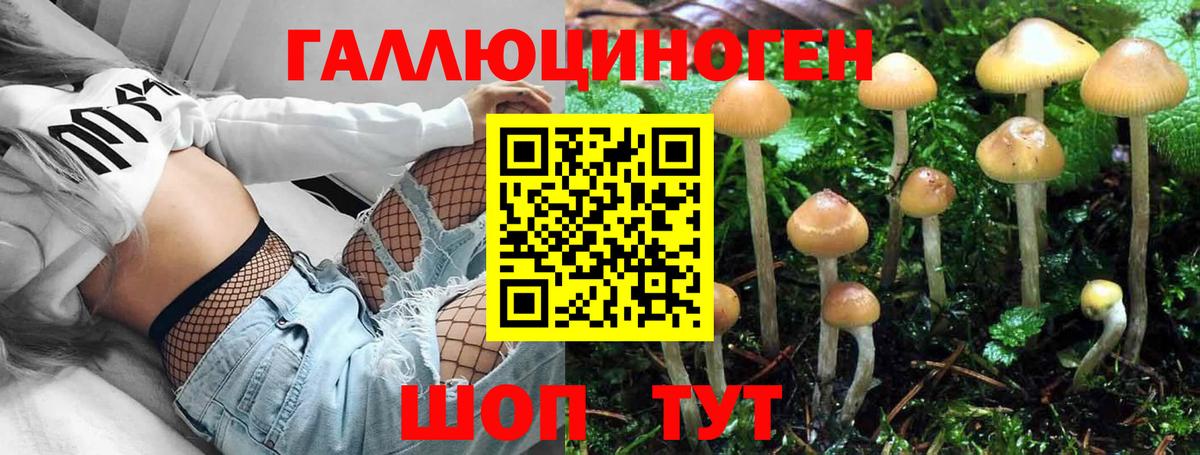 Галлюциногенные грибы Psilocybe Сызрань