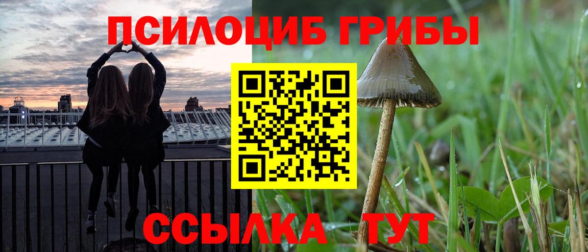 Галлюциногенные грибы мицелий  Псилоцибиновые грибы Magic Shrooms  Сызрань  Вход с VPN 